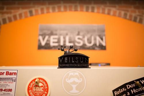 VeilSun Inc. Image